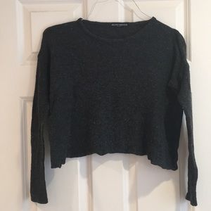 BRANDY❤️MELVILLE Soft Gray Cropped Sweater